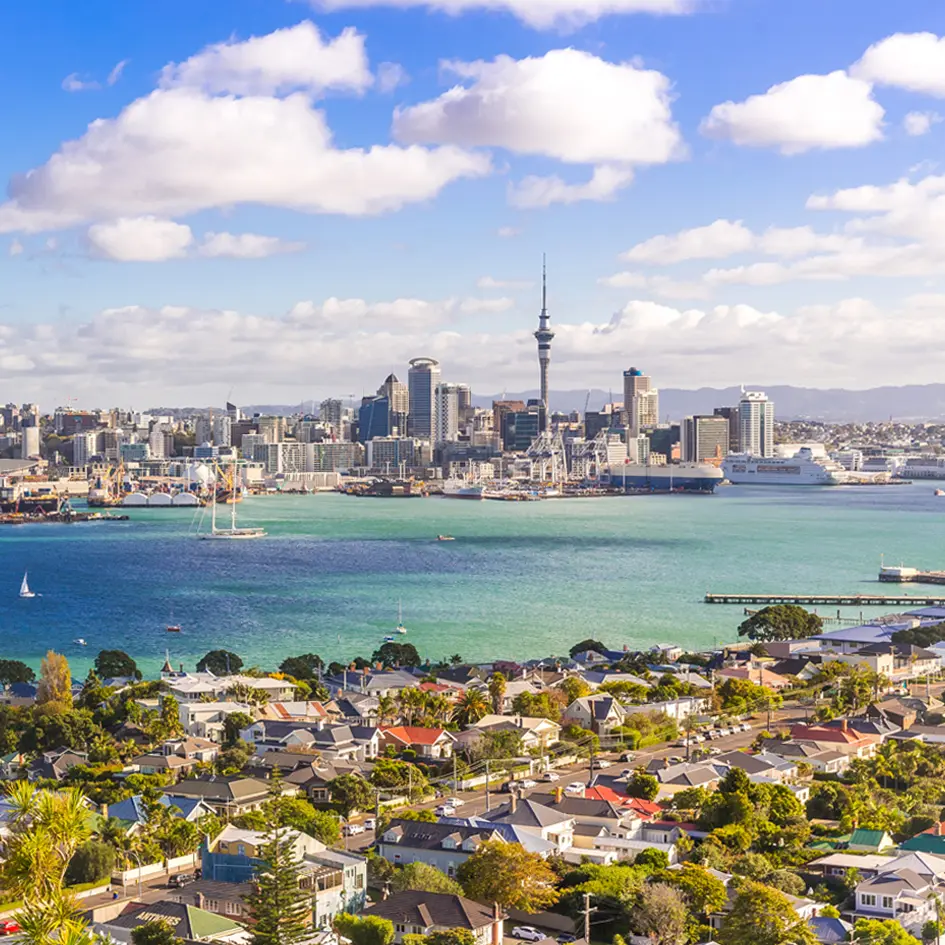 Stellar Project   Office   Auckland