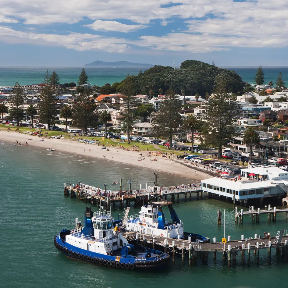 Stellar Projects   Office   Tauranga Harbour