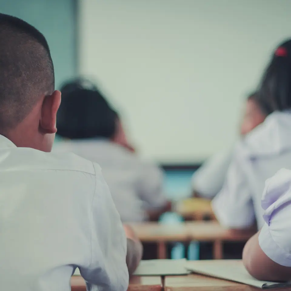 Stellar Projects   School