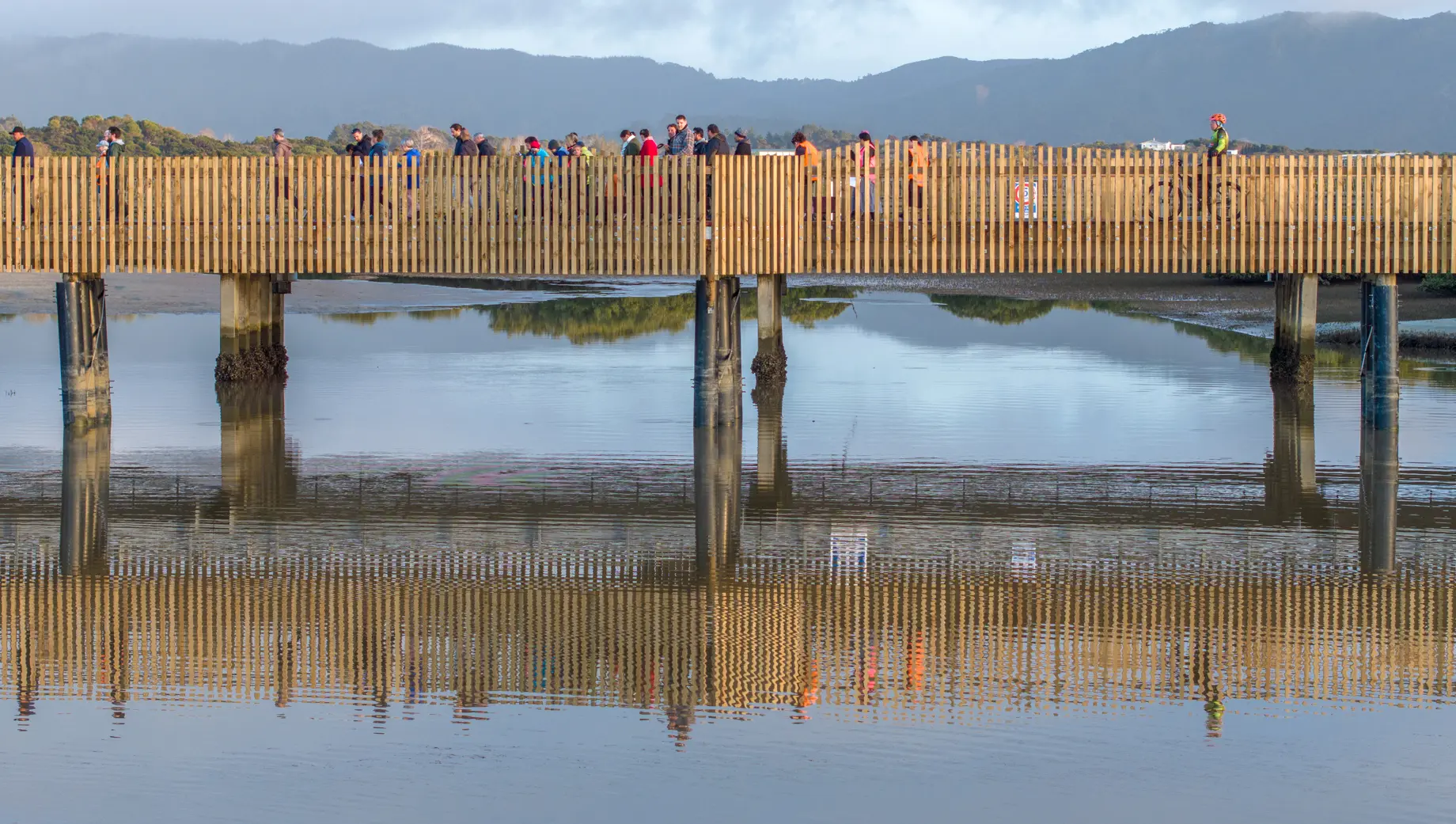 Stellar Projects   Case Study Mangawhai Shared Path   4